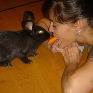 Meet your Posher, Jodina